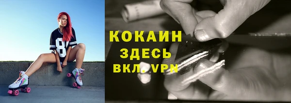дурь Волосово